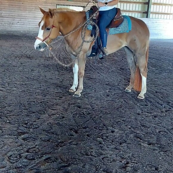 myhorse131160